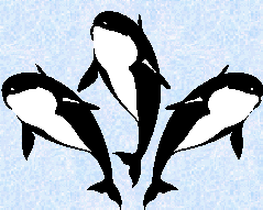 OrcaS.gif